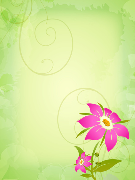 Квіти
 - Фото, зображення