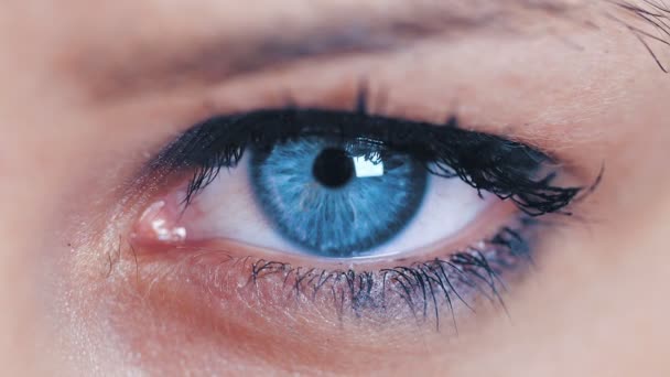 Oeil bleu féminin
 - Séquence, vidéo