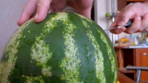 Schneiden gestreifter Wassermelone - Filmmaterial, Video