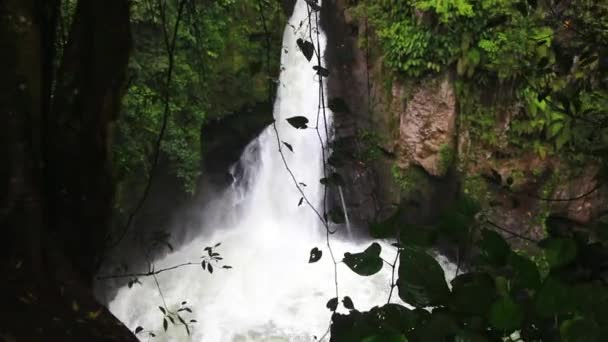 Piękny wodospad, spływy kajakowe w Veracruz, Meksyk - Materiał filmowy, wideo