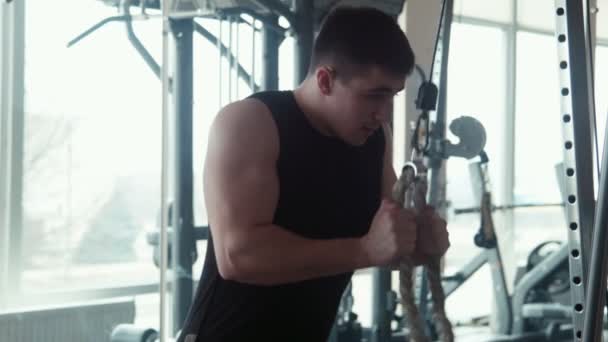 bodybuilder doing triceps workout - Filmati, video