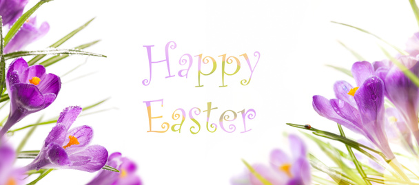 art easter background with spring flowers - Photo, Image