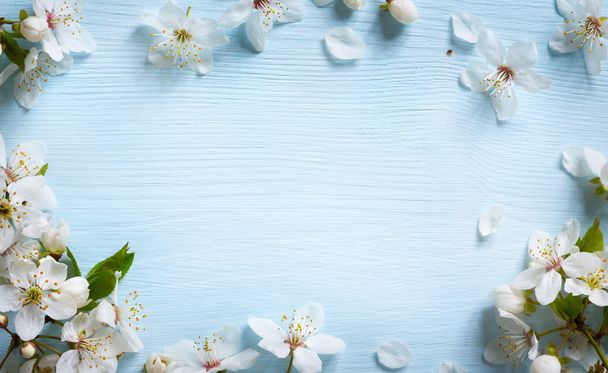 art Spring border background with white blossom - Foto, afbeelding