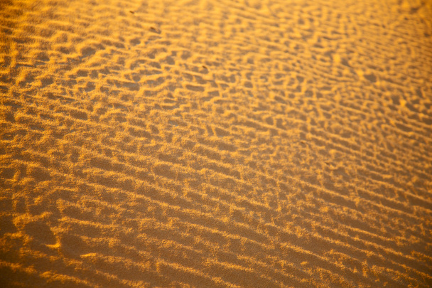 Αφρικής έρημο Σαχάρα καφετιά άμμο αμμόλοφος   - Φωτογραφία, εικόνα