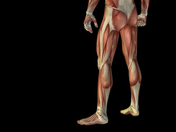 stong ανθρώπινη με τους μυς - Φωτογραφία, εικόνα