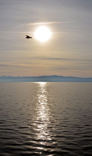 Coucher de soleil sur le lac d'ohrid, macédonie
 - Photo, image