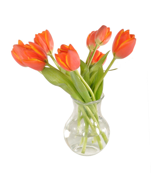 Red tulips in a vase - Φωτογραφία, εικόνα