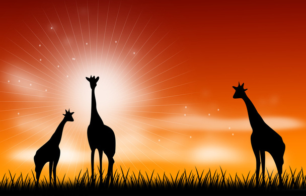 Illustration de scène girafe
 - Photo, image