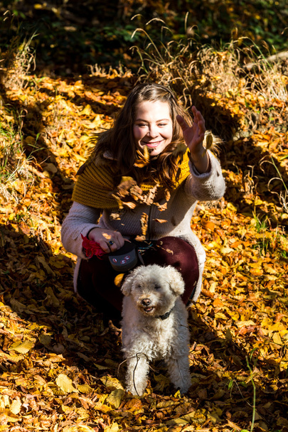 Girl with a poodle in forest - Foto, imagen