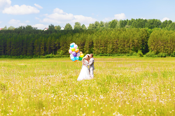Kaunis morsian ja sulhanen niityllä värikkäitä ilmapalloja
 - Valokuva, kuva