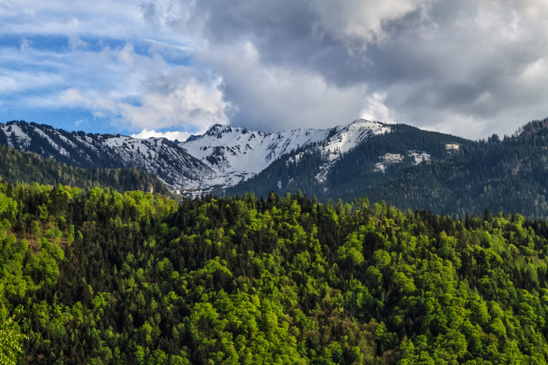 Зеленый весенний пейзаж с лесами и заснеженными горами
 - Фото, изображение