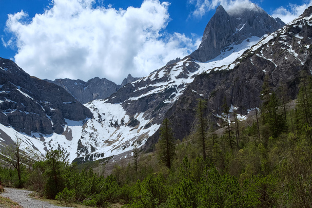 Tavaszi hegyi táj, zöld erdő és a hóval borított hegyek - Fotó, kép