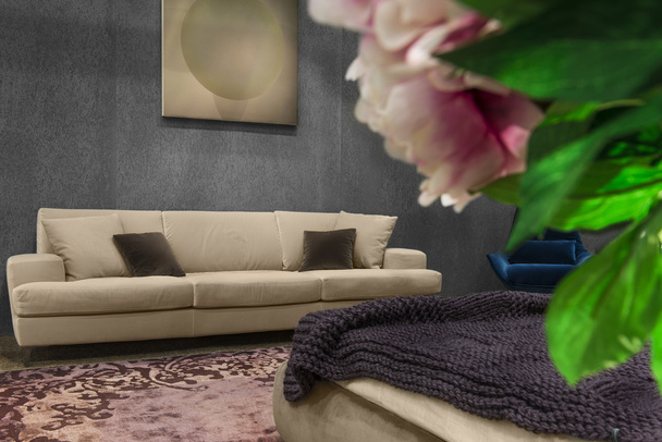 hermoso salón con sofá blanco - Foto, imagen