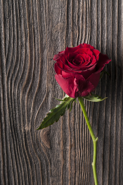 Red rose flower on a wooden background. - Foto, Bild