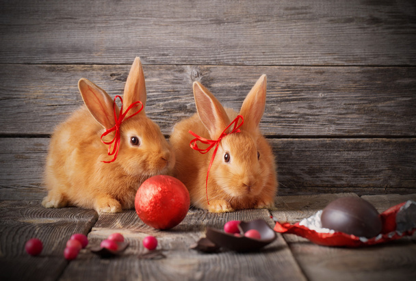 rabbits with chocolate eggs on wooden background - Fotó, kép