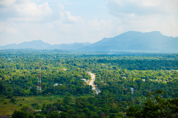 Тропические леса Шри-Ланки
 - Фото, изображение