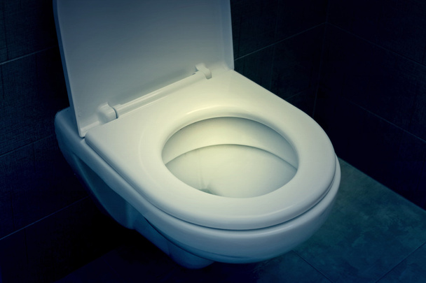 White toilet bowl - Photo, image