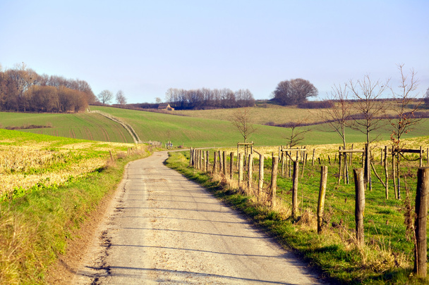 Rural road in Limburg - Fotografie, Obrázek