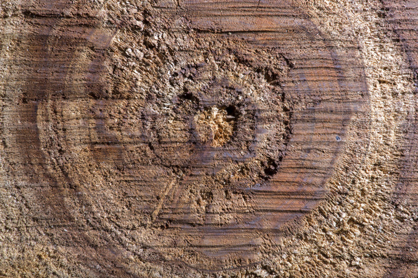 Текстура дерев'яних дощок
 - Фото, зображення