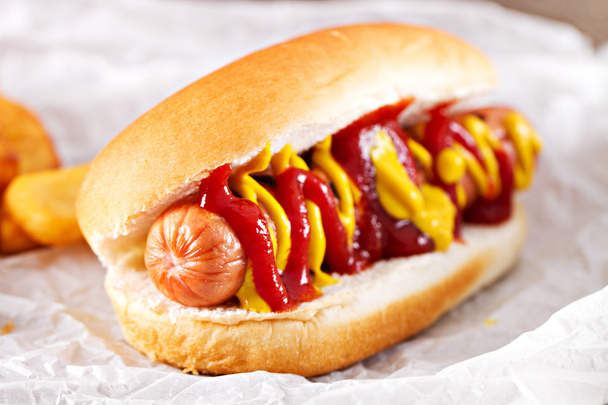 delicious hotdog and fries  - Zdjęcie, obraz