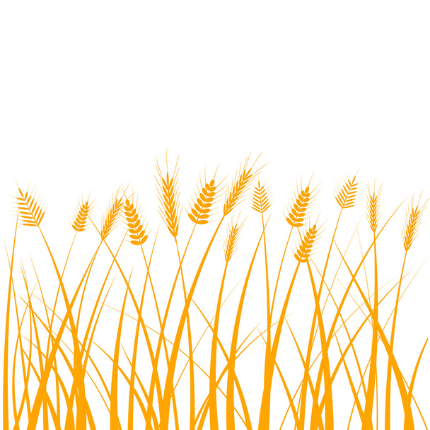 Buğday hasadı - Vektör, Görsel