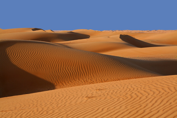 Sand dunes in a desert - Fotoğraf, Görsel