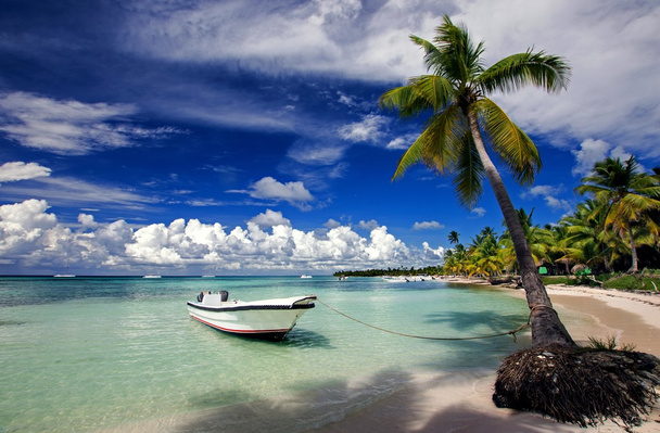 Saona Beach République dominicaine
 - Photo, image