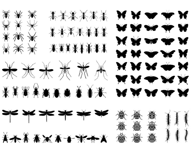 siluety hmyzu - Vektor, obrázek