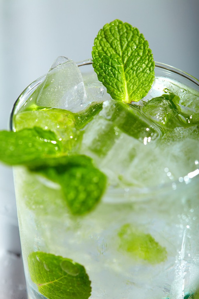 Mint ice vodka - Foto, Bild