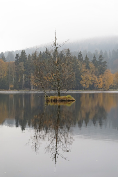 Pequeña isla flotante en el lago
 - Foto, imagen