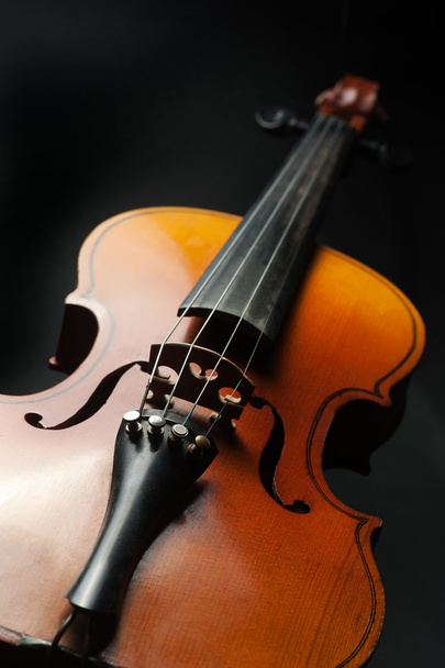 Violin - Foto, afbeelding