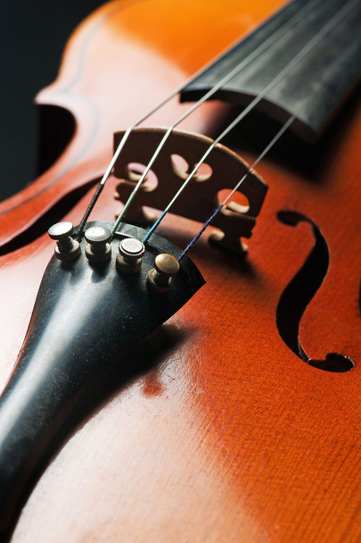 Violin (closeup) - Photo, image