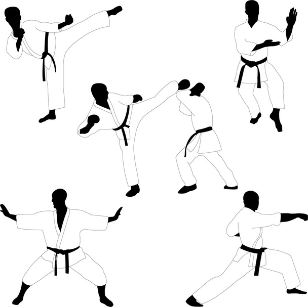 colección de karate - vector
 - Vector, imagen