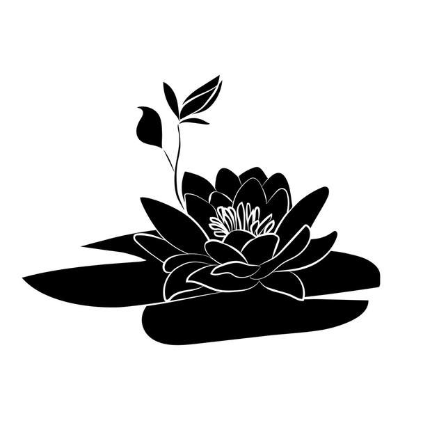 lotus flowers icon - Vektori, kuva
