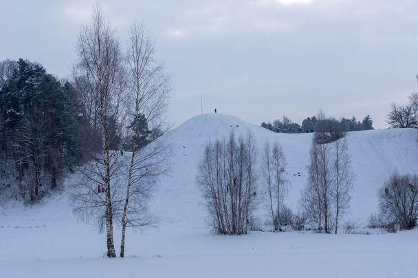 Les vacanciers sur la colline de neige - Photo, image