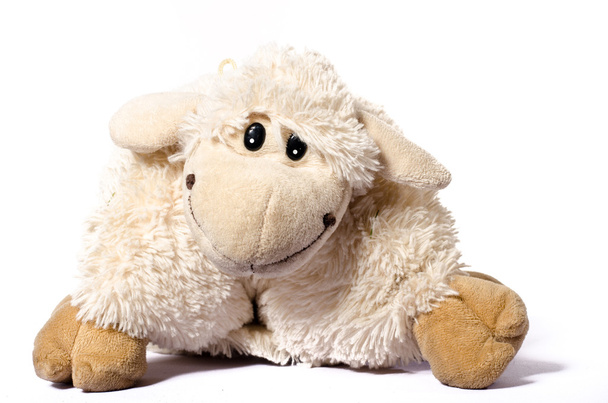 Roztomilá plyšová hračka ovce - Fotografie, Obrázek