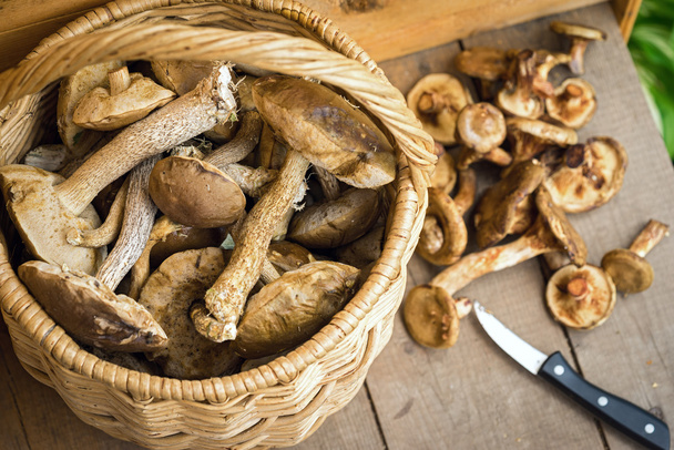 грибы в корзине на деревянном полу
 - Фото, изображение