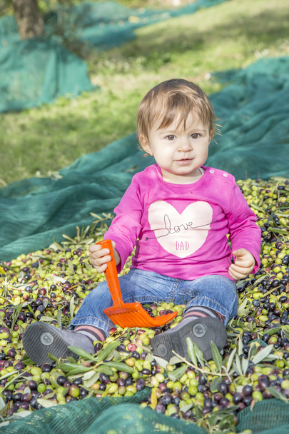 Babymeisje zittend op een stapel van olijven - Foto, afbeelding