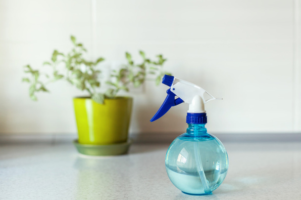 Bliska niebieski okrągły sprayem i zielony kwiat na tle - Zdjęcie, obraz