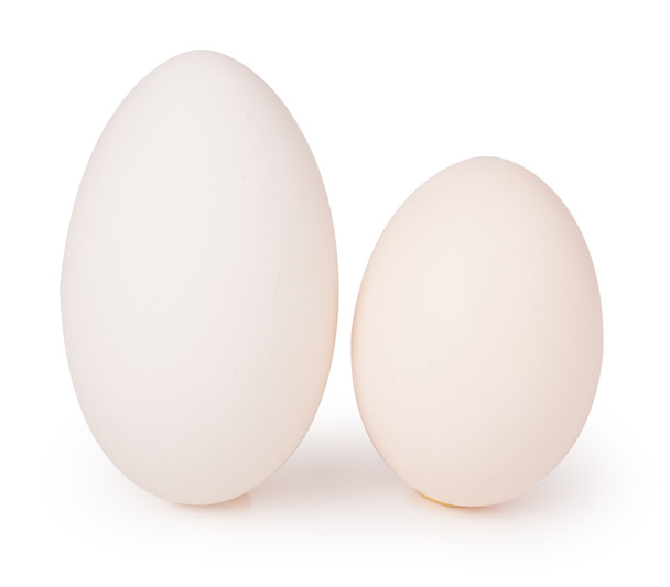 Twee grote goose eieren. Geïsoleerd op witte achtergrond - Foto, afbeelding