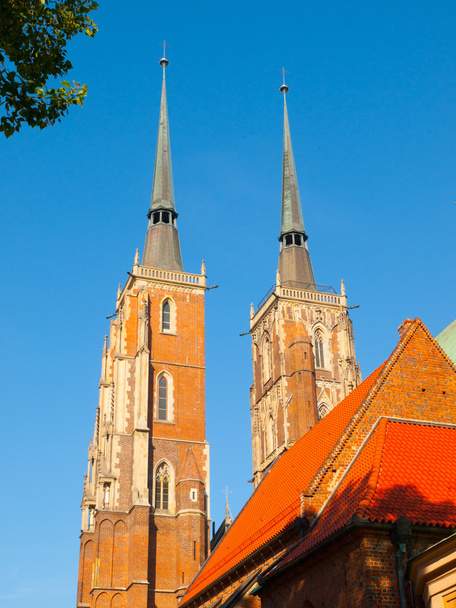 Cathedral of St. John the Baptist in Wroclaw - Fotoğraf, Görsel