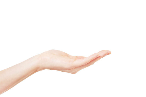 human hand gesturing - Valokuva, kuva