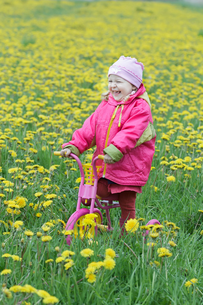 Lachen peuter meisje permanent op voorjaar bloeiende paardebloemen weide op kids roze en gele driewieler - Foto, afbeelding