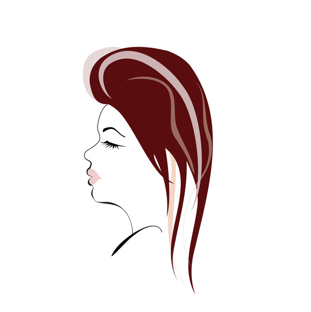 Woman Hair style Silhouette with textures - Vector, Image