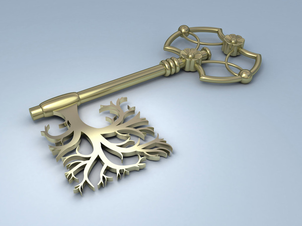 Jewelry golden key 1 - Foto, Imagem