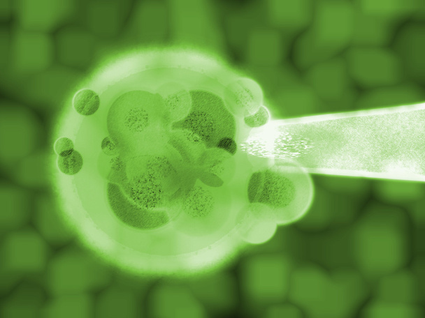 3d зелених рослинних клітин матерія медична ілюстрація
 - Фото, зображення
