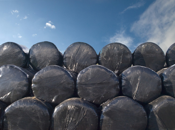 αποθηκευμένη σανό bails στο μαύρο πλαστικό περικάλυμμα - Φωτογραφία, εικόνα