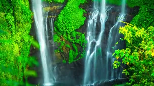 Sekumpul wodospad ukryty raj Virgin - Materiał filmowy, wideo