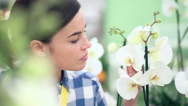 sonriente mujer en jardín de flores, toca y huele una orquídea
 - Metraje, vídeo