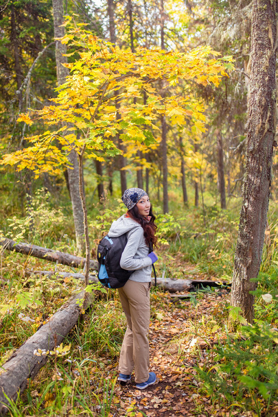 Hiker young woman with backpack walking in autumn forest - Photo, Image